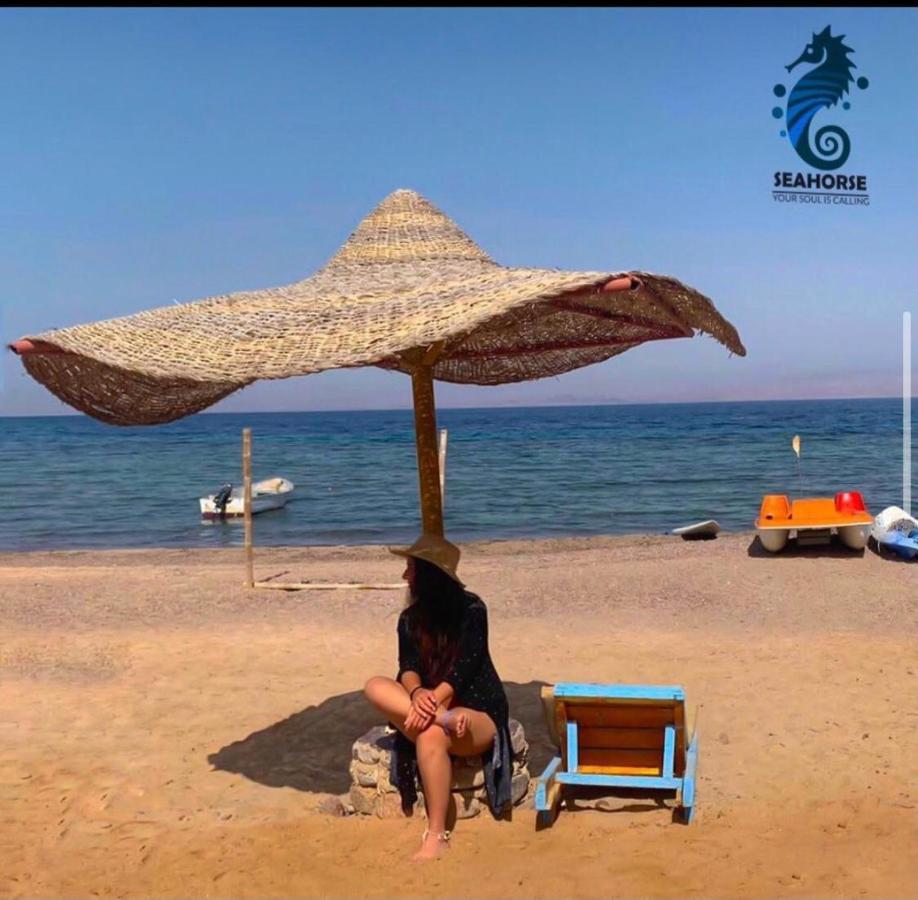 Sea Horse Hotel Nuweiba Ngoại thất bức ảnh