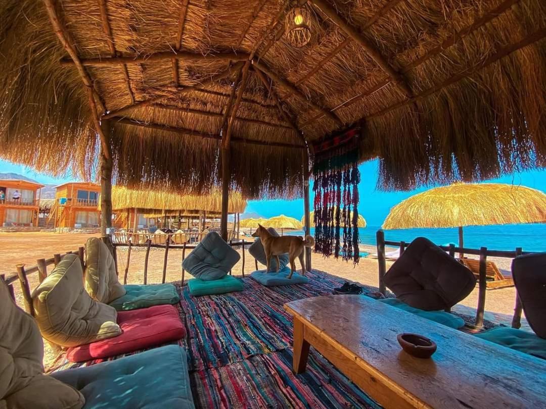 Sea Horse Hotel Nuweiba Ngoại thất bức ảnh