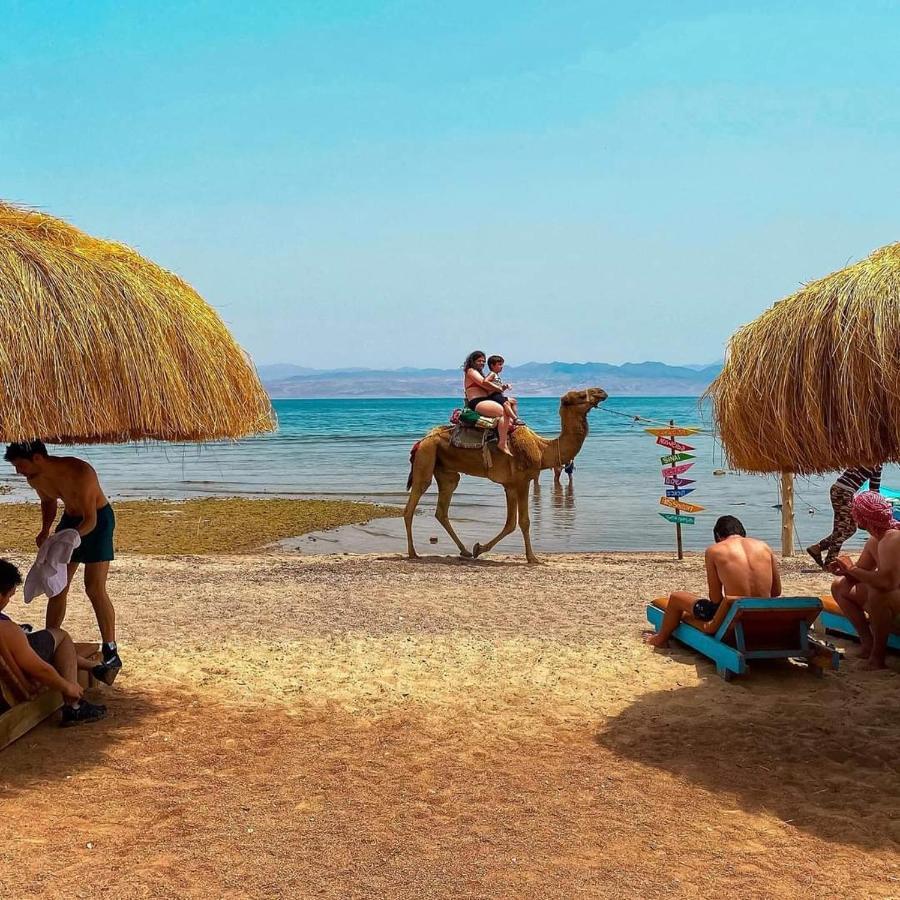 Sea Horse Hotel Nuweiba Ngoại thất bức ảnh