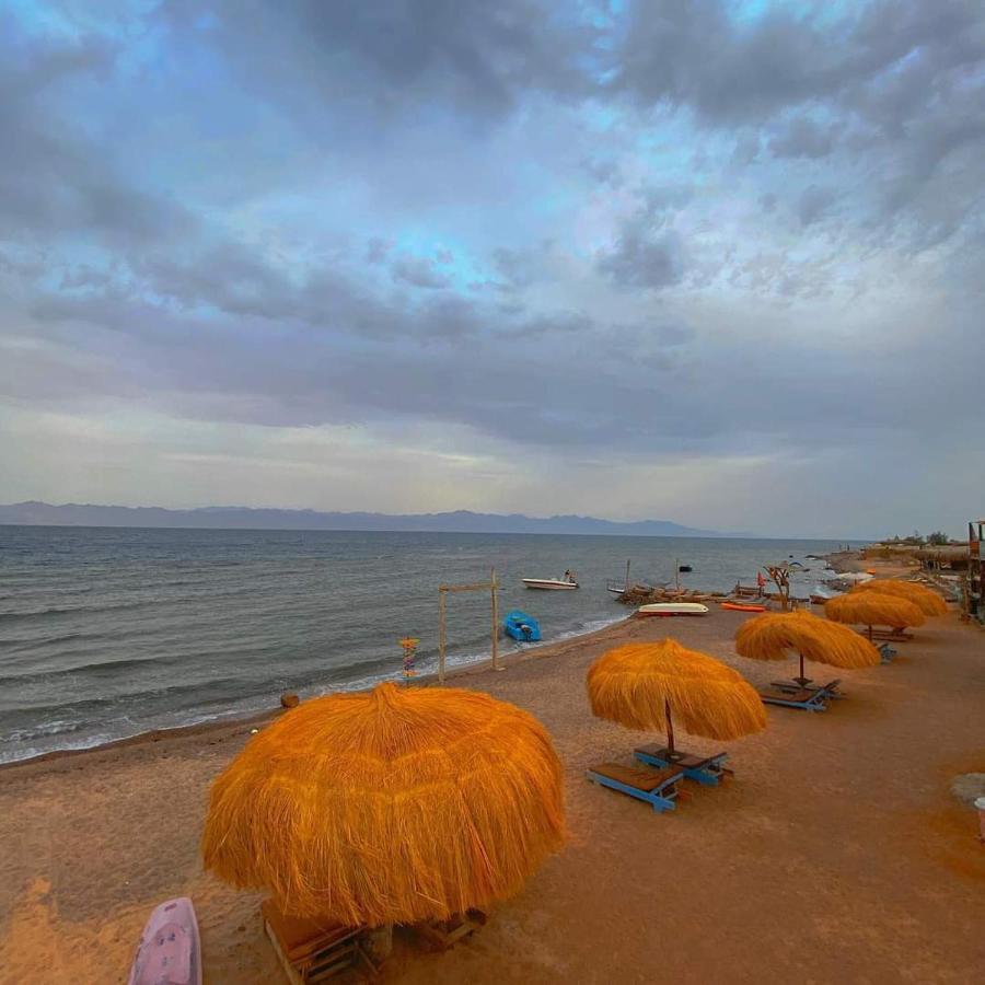 Sea Horse Hotel Nuweiba Ngoại thất bức ảnh