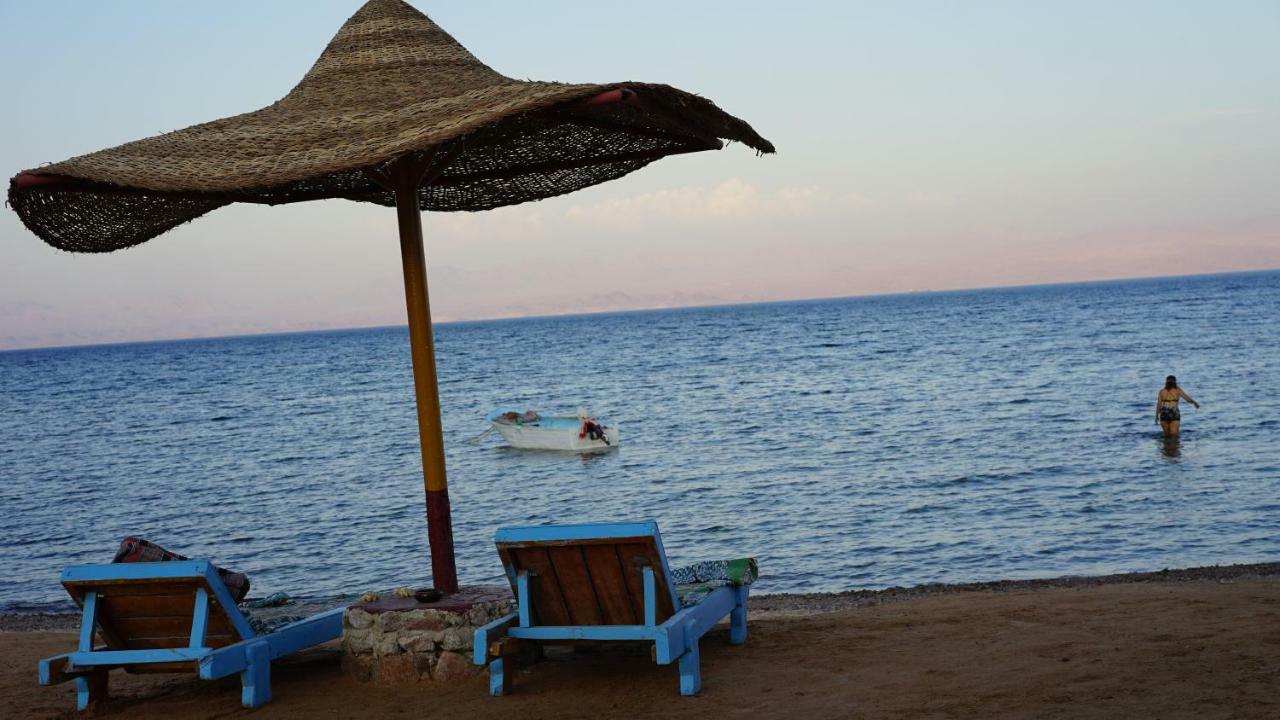 Sea Horse Hotel Nuweiba Ngoại thất bức ảnh