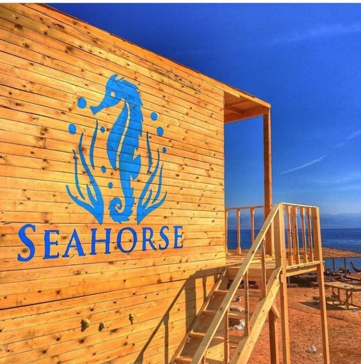 Sea Horse Hotel Nuweiba Ngoại thất bức ảnh